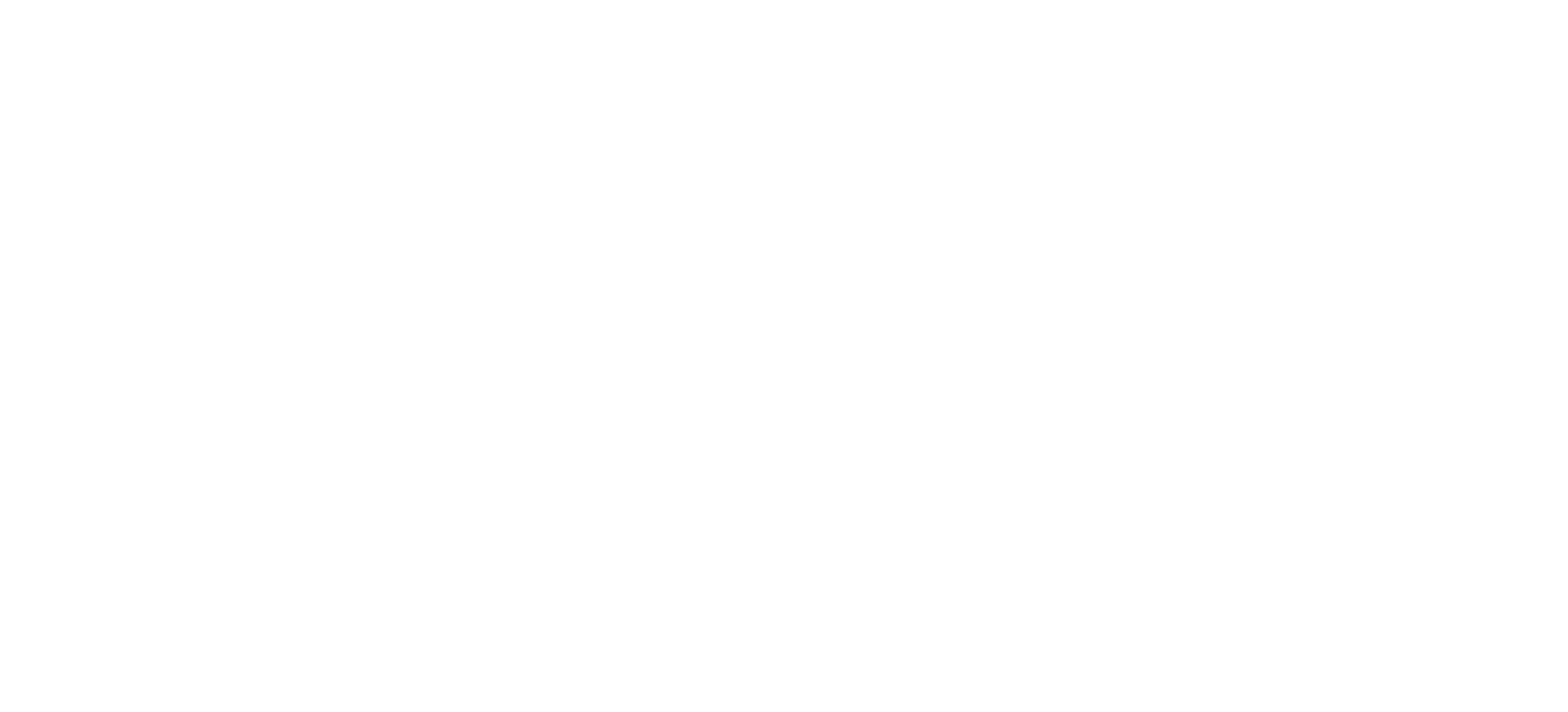 Euclid Logo Primary